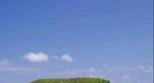 天堂没有遗忘,探寻遗忘角落的温暖故事