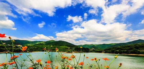 美丽的夏天,探寻美丽夏天的无限魅力